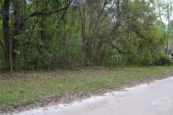 0 S Hickory Street, Bloomingdale, GA 31302