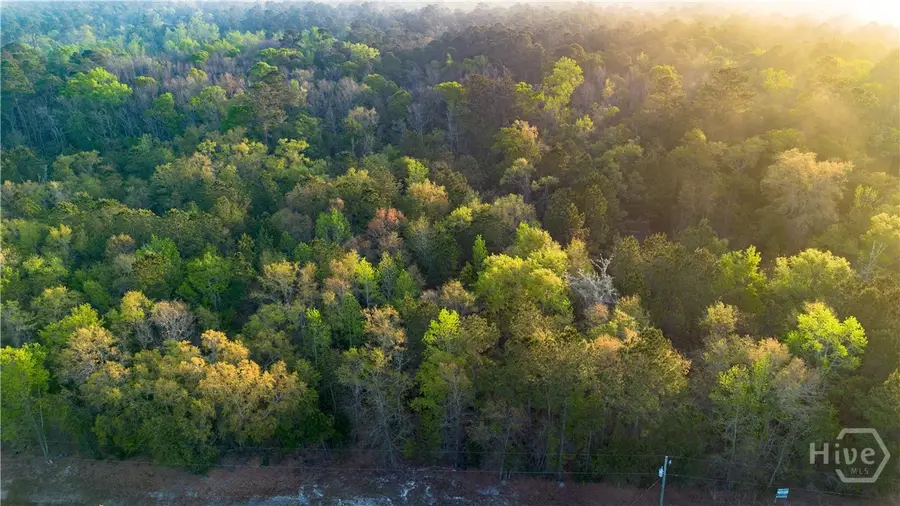 4 Little Mccall Road, Rincon, GA 31326 - #2