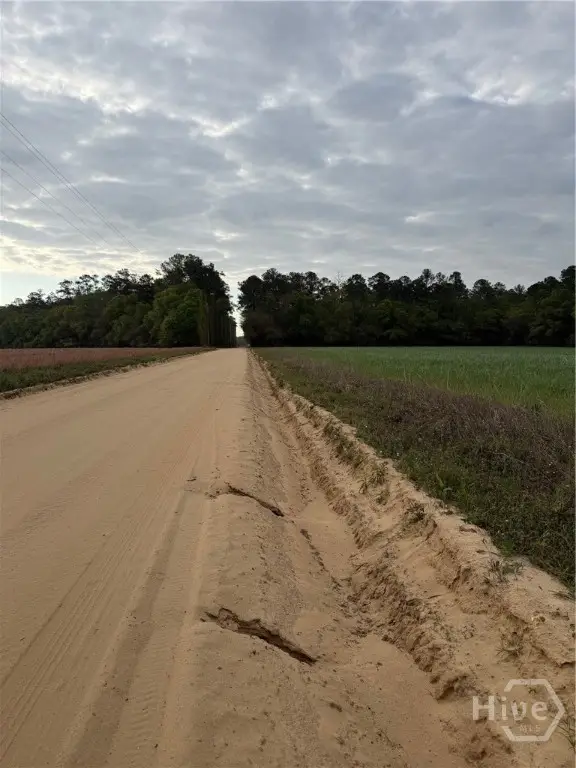 01 Springfield Egypt Road, Springfield, GA 31329 - #3