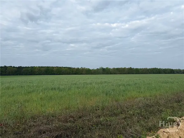 02 Springfield Egypt Road, Springfield, GA 31329