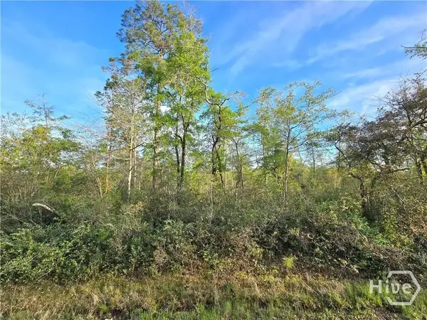 0 Hwy 204 Highway, Ellabell, GA 31308