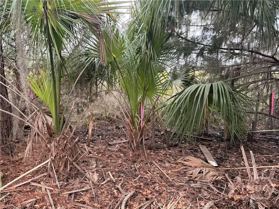 209 Battery Way, Savannah, GA 31410 - #3