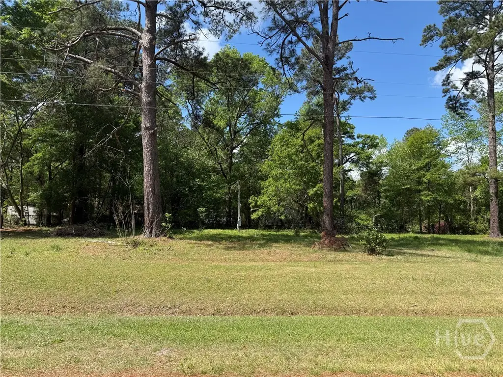 210 Wallace Circle, Bloomingdale, GA 31302 - #1