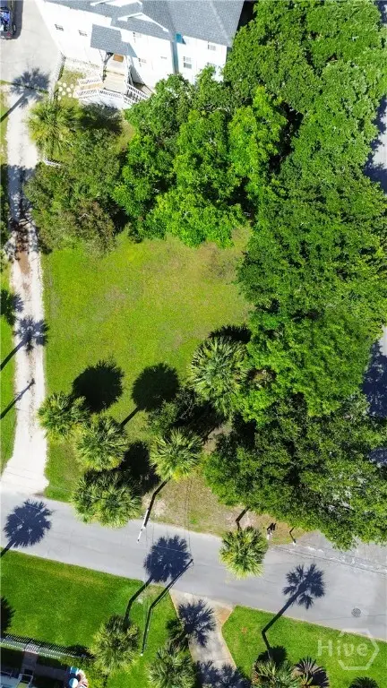 0 Chatham Avenue, Tybee Island, GA 31328