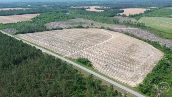 0 Bunn Store Road, Midville, GA 30441