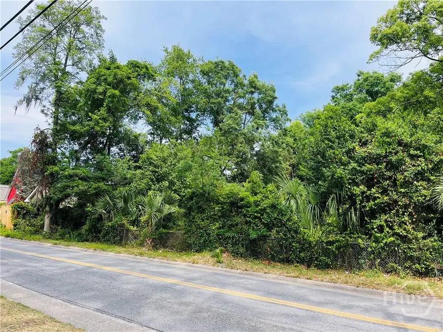 0 Skidaway Road, Savannah, GA 31404 - #3