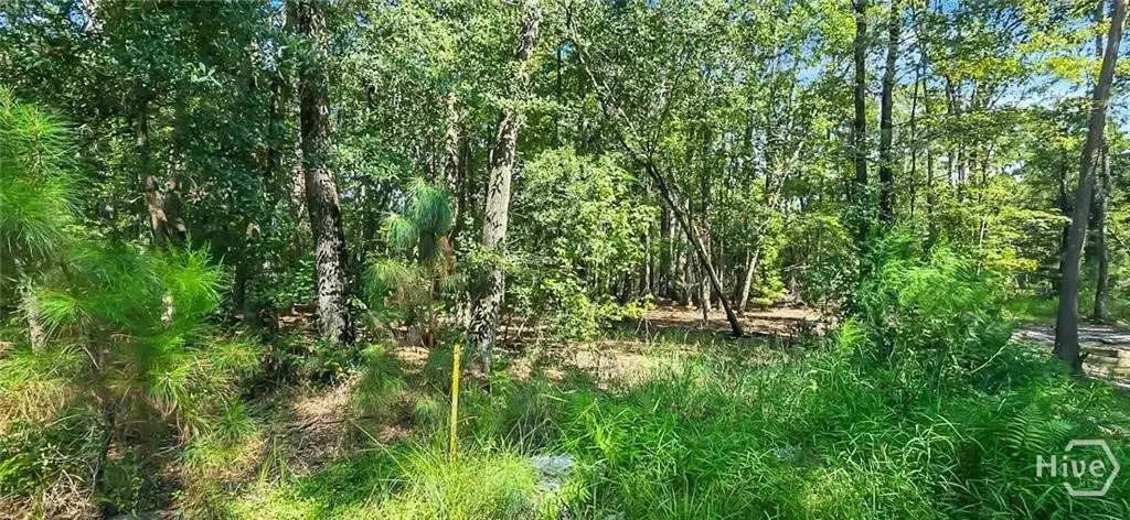 0 4th St, Guyton, GA 31312 - #1