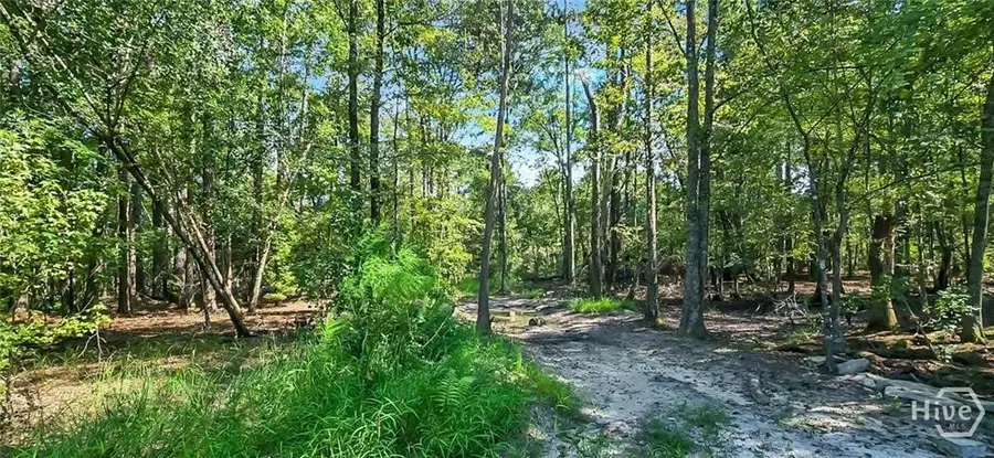 0 4th St, Guyton, GA 31312 - #2