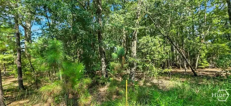 0 4th St, Guyton, GA 31312 - #3