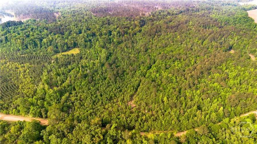 0 Fields Farm Road, Millen, GA 30442 - #3