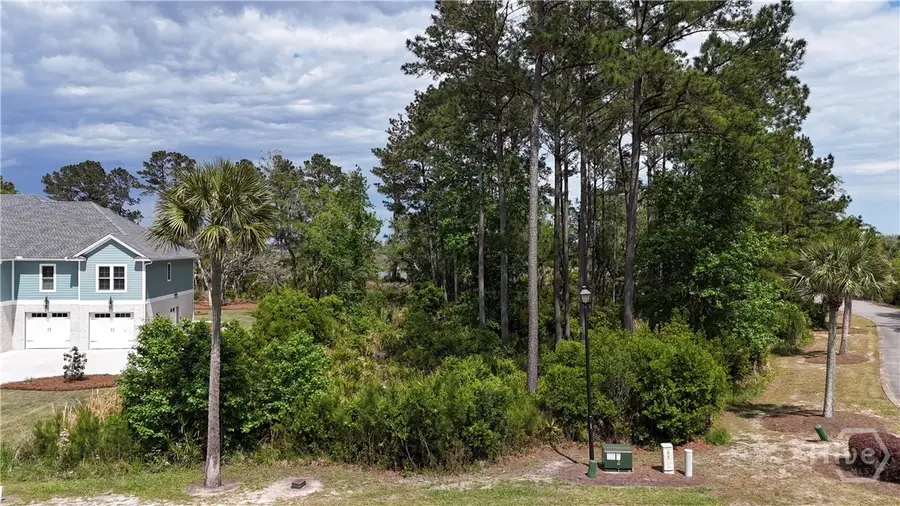 V/L 53  Sanctuary Cove Spinnaker Wynd, Waverly, GA 31565 - #3