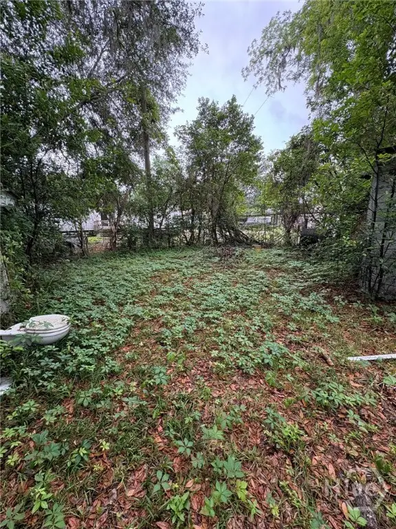 132 Porterfield Road, Ellabell, GA 31308 - #3