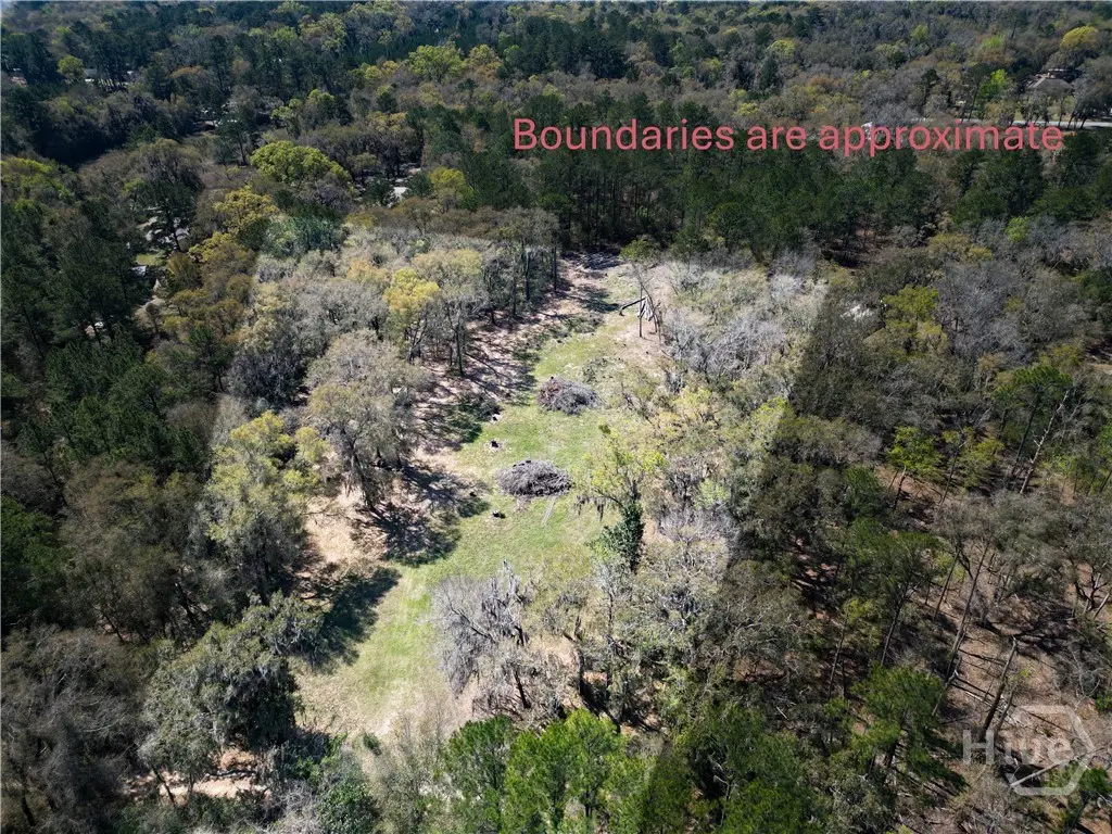 2.33 AC Polite Lane, Midway, GA 31320 - #1