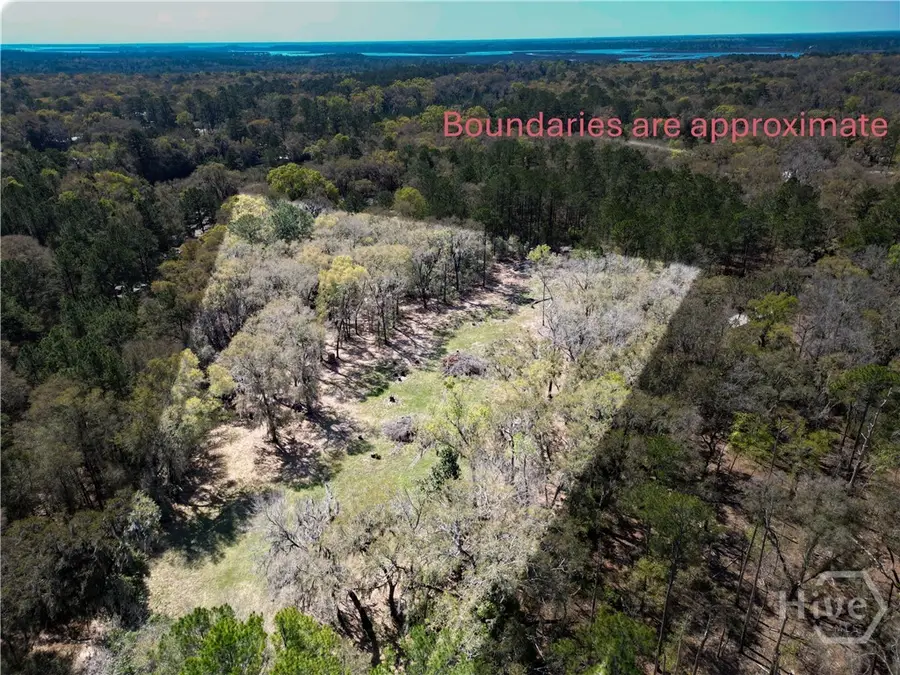 2.33 AC Polite Lane, Midway, GA 31320 - #2