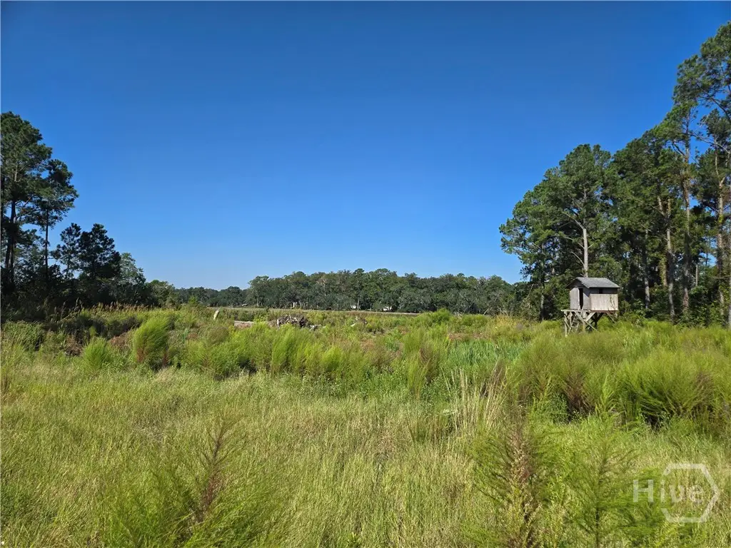 0 River Road, Midway, GA 31320 - #1