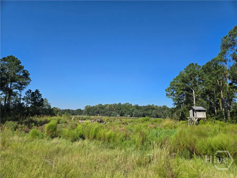 0 River Road, Midway, GA 31320 - #2