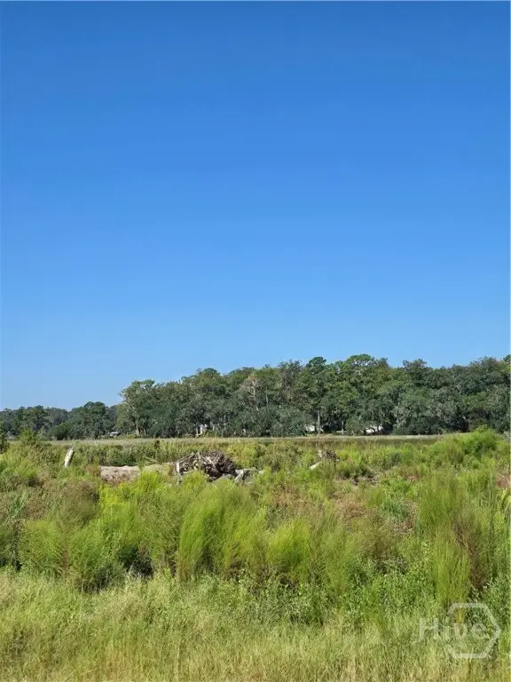 0 River Road, Midway, GA 31320 - #3