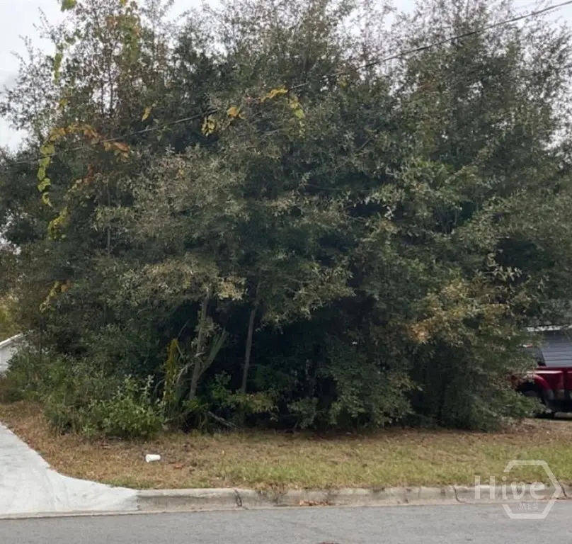 0 Dixon Street, Savannah, GA 31405 - #1
