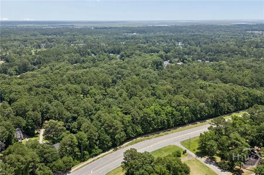 0 Harris Trail Road, Richmond Hill, GA 31324 - #3