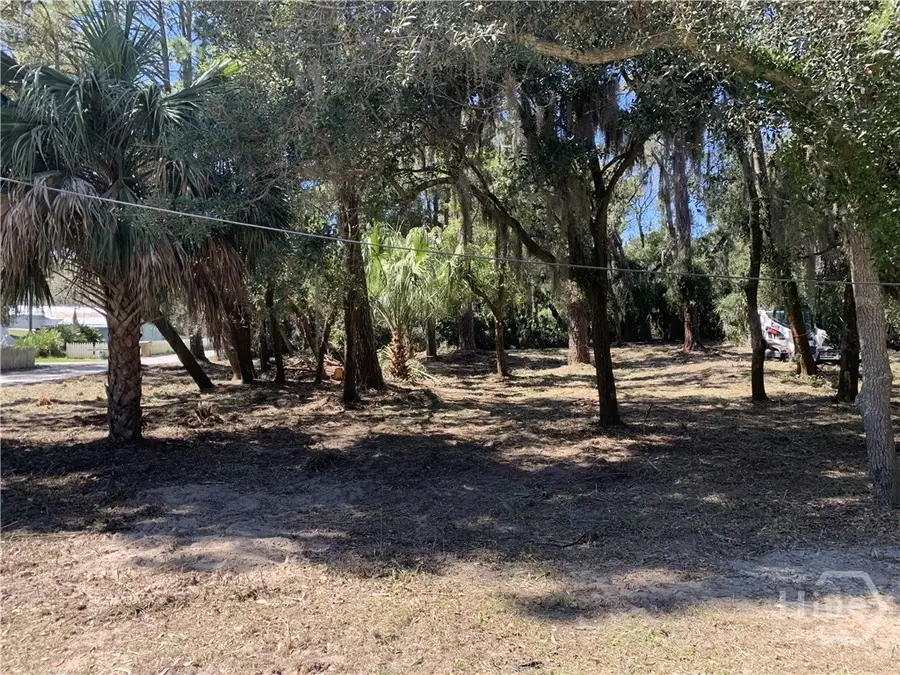 0 Mckenzie Avenue, Tybee Island, GA 31328 - #2