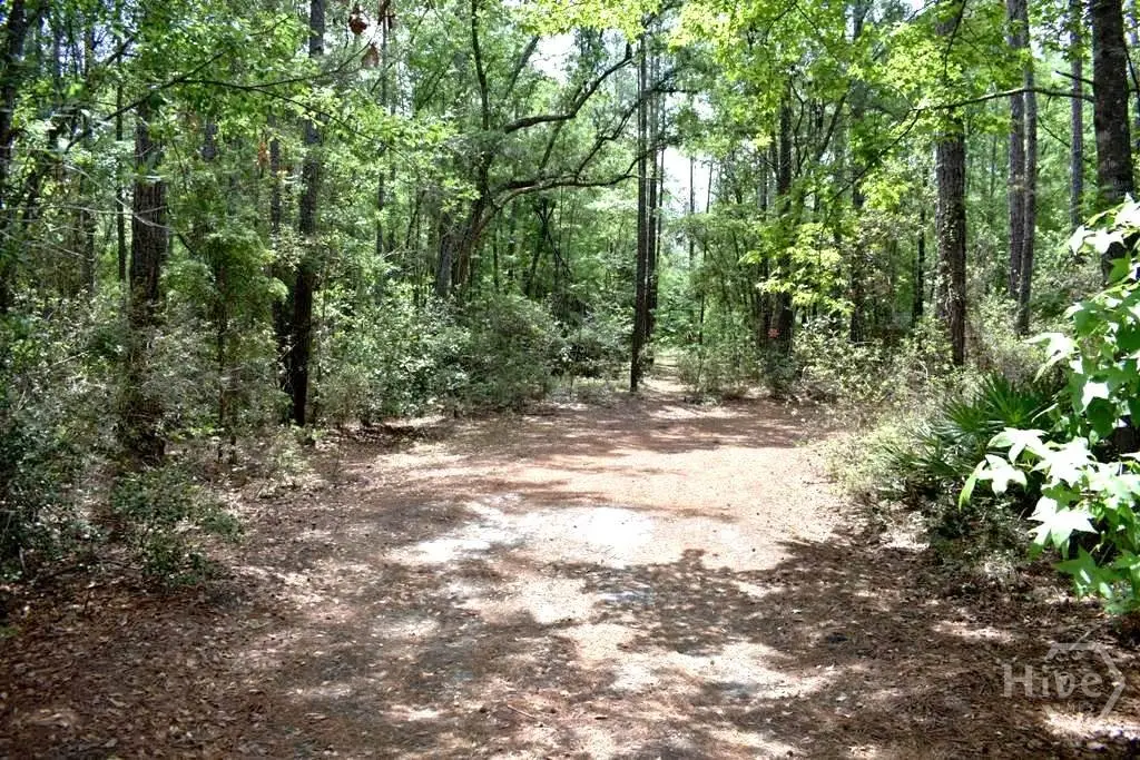 2650 N Hwy 119, Ellabell, GA 31308 - #1