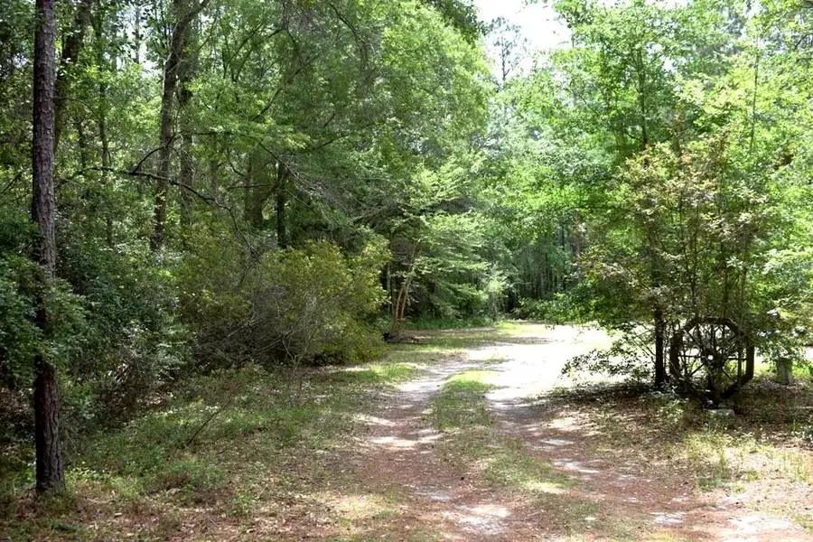 2650 N Hwy 119, Ellabell, GA 31308 - #3