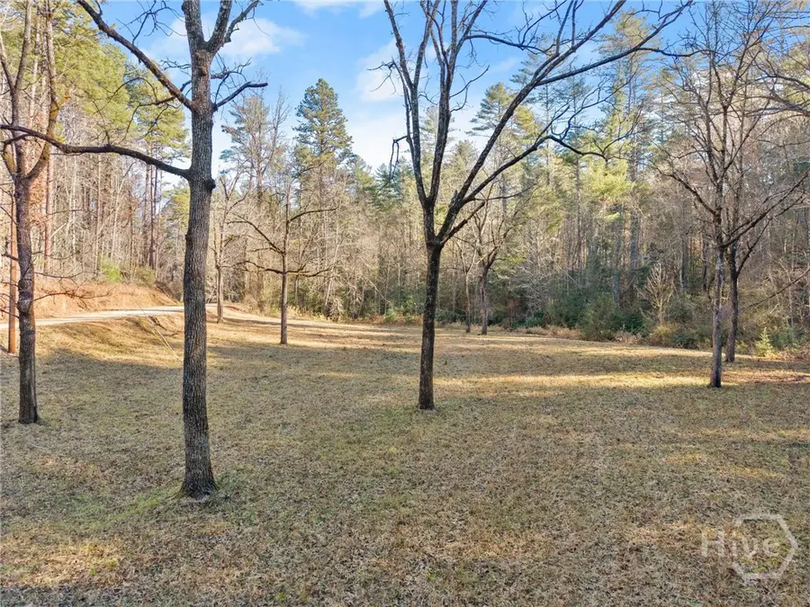 0 Shoal Creek Road, Clarkesville, GA 30523 - #2