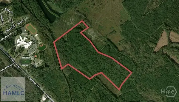0 Mcintosh Lake Road, Hinesville, GA 31313