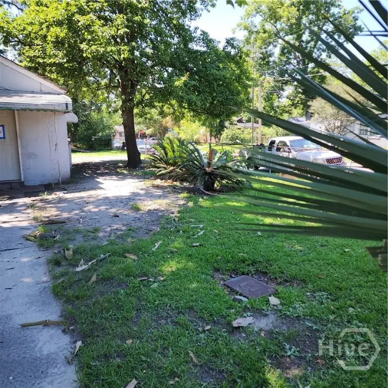 1001 Bowden Street, Savannah, GA 31415 - #3