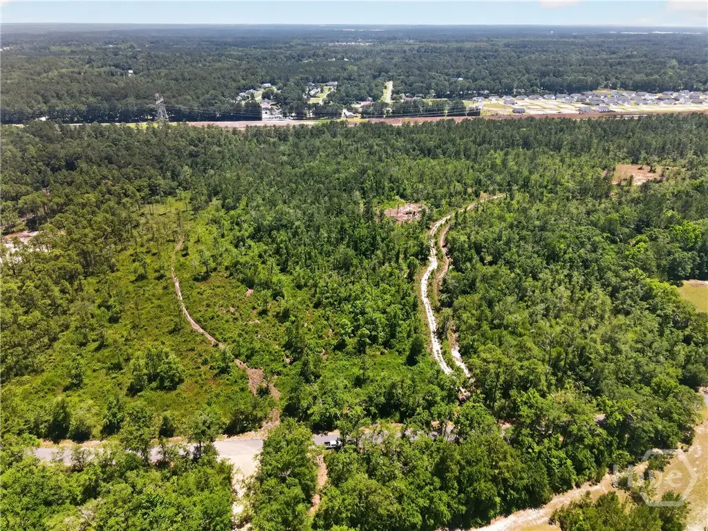 241 Barney Road, Rincon, GA 31326 - #1