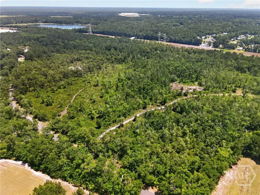 241 Barney Road, Rincon, GA 31326 - #3