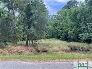 0 W First Street, Midway, GA 31320 - #1