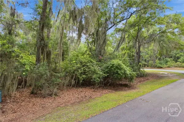 Lot 67 NE Delegal Drive, Townsend, GA 31331