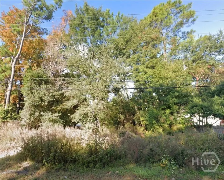 0 Johnny Mercer Boulevard, Savannah, GA 31410 - #1