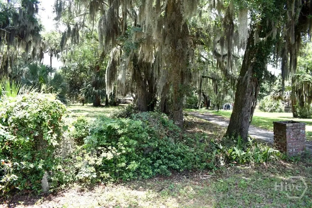 2104 Walthour Road, Savannah, GA 31410 - #1