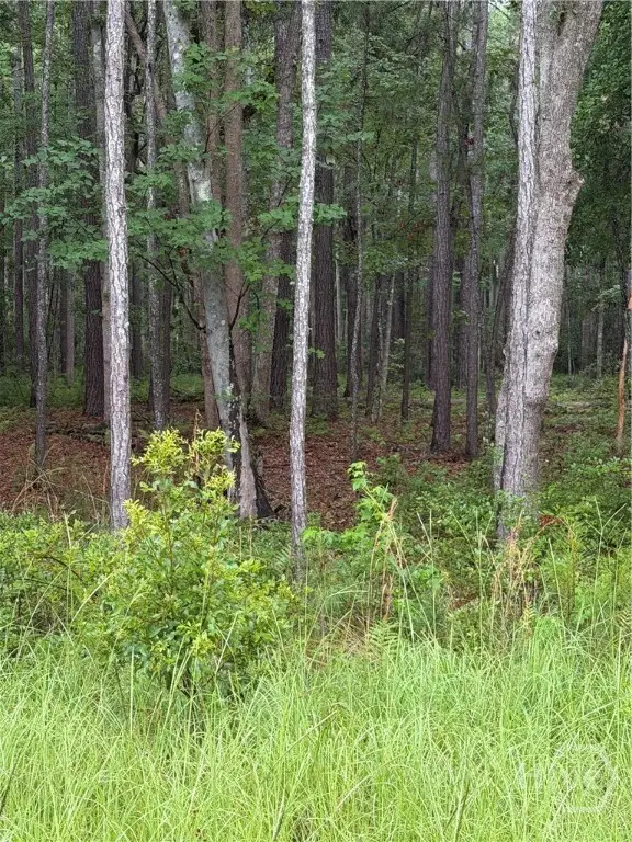 157 Wood Haven Lane, Pooler, GA 31322 - #1