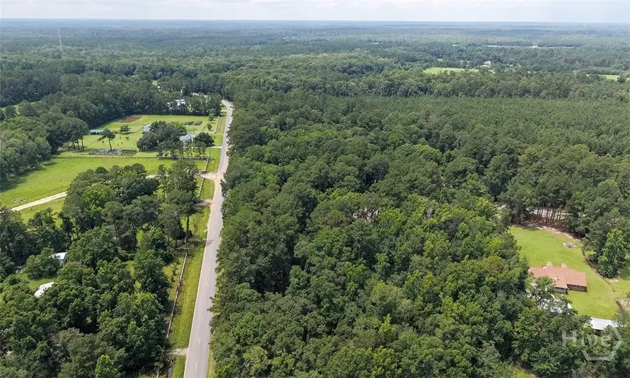 293 Anza Lane, Rincon, GA 31326 - #2