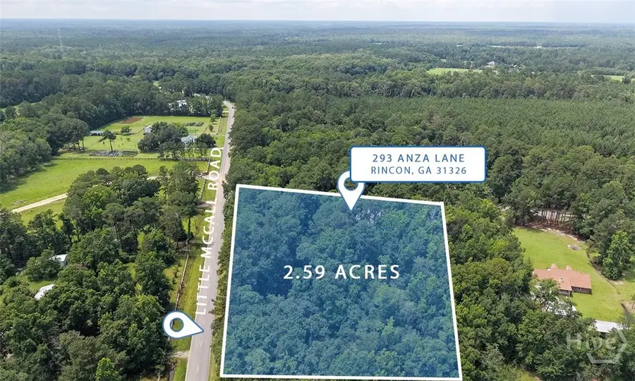 293 Anza Lane, Rincon, GA 31326 - #3