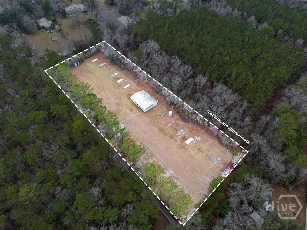 1135 Placid Drive Ne, Townsend, GA 31331 - #1