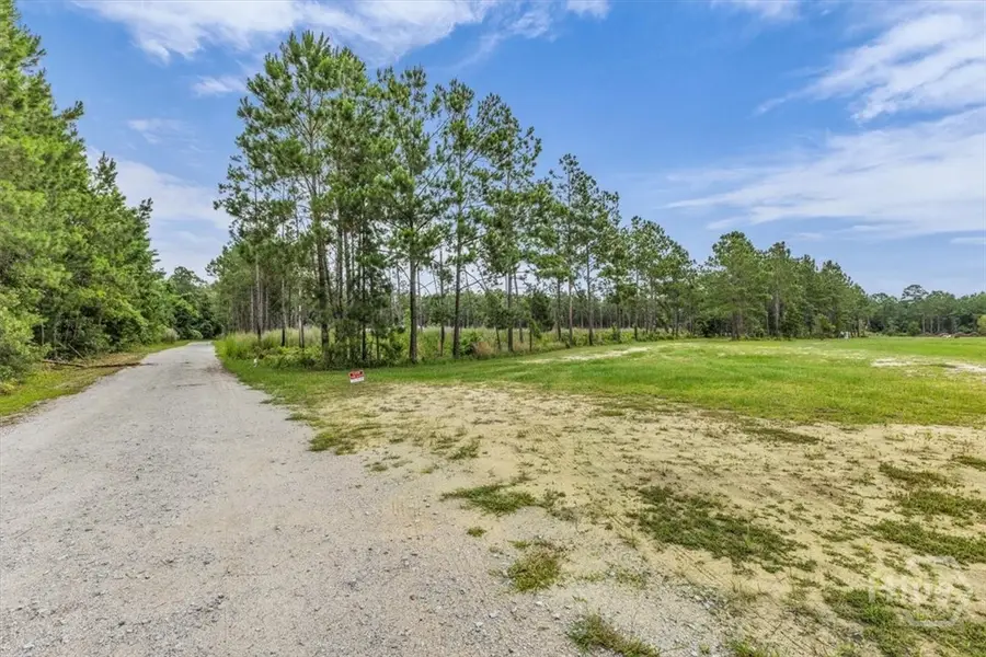 000 Wood Grove Lane, Richmond Hill, GA 31324 - #2