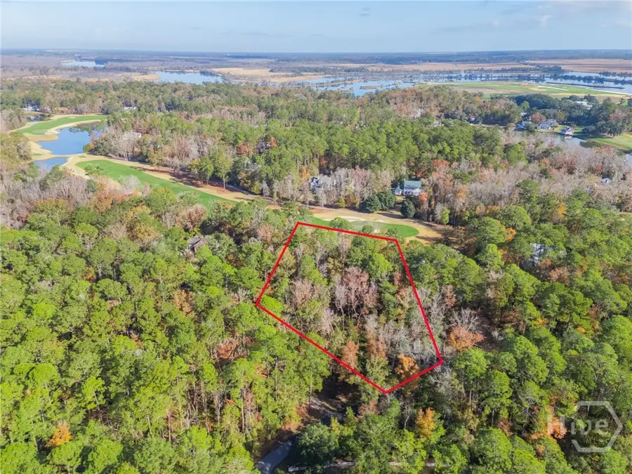 204 Dogwood Way, Richmond Hill, GA 31324 - #3