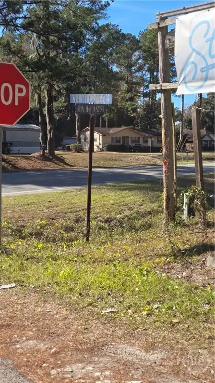 14089 Ga Hwy 251, Darien, GA 31305 - #2