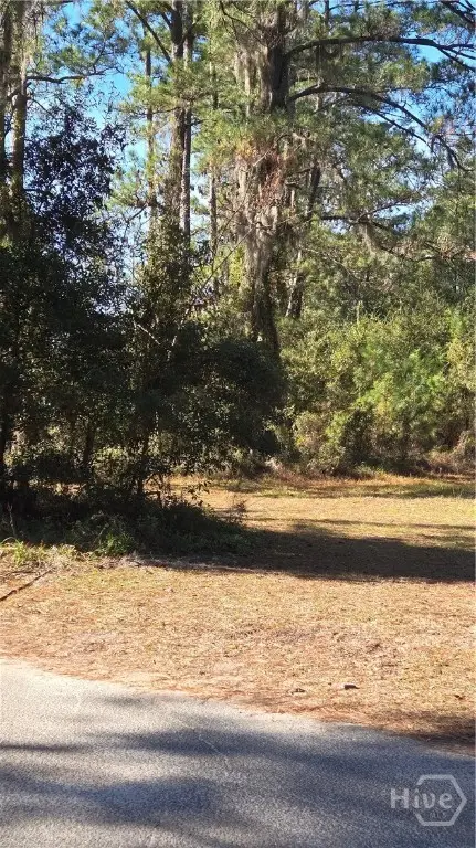 14089 Ga Hwy 251, Darien, GA 31305 - #3