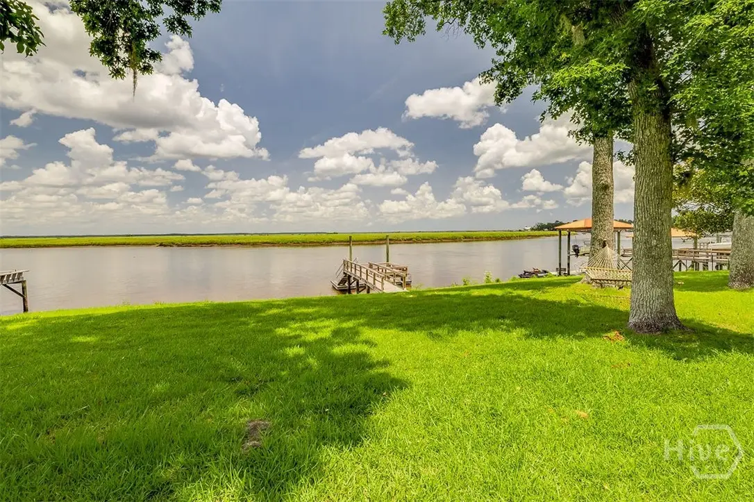 179 Ogeechee Drive, Richmond Hill, GA 31324 - #1