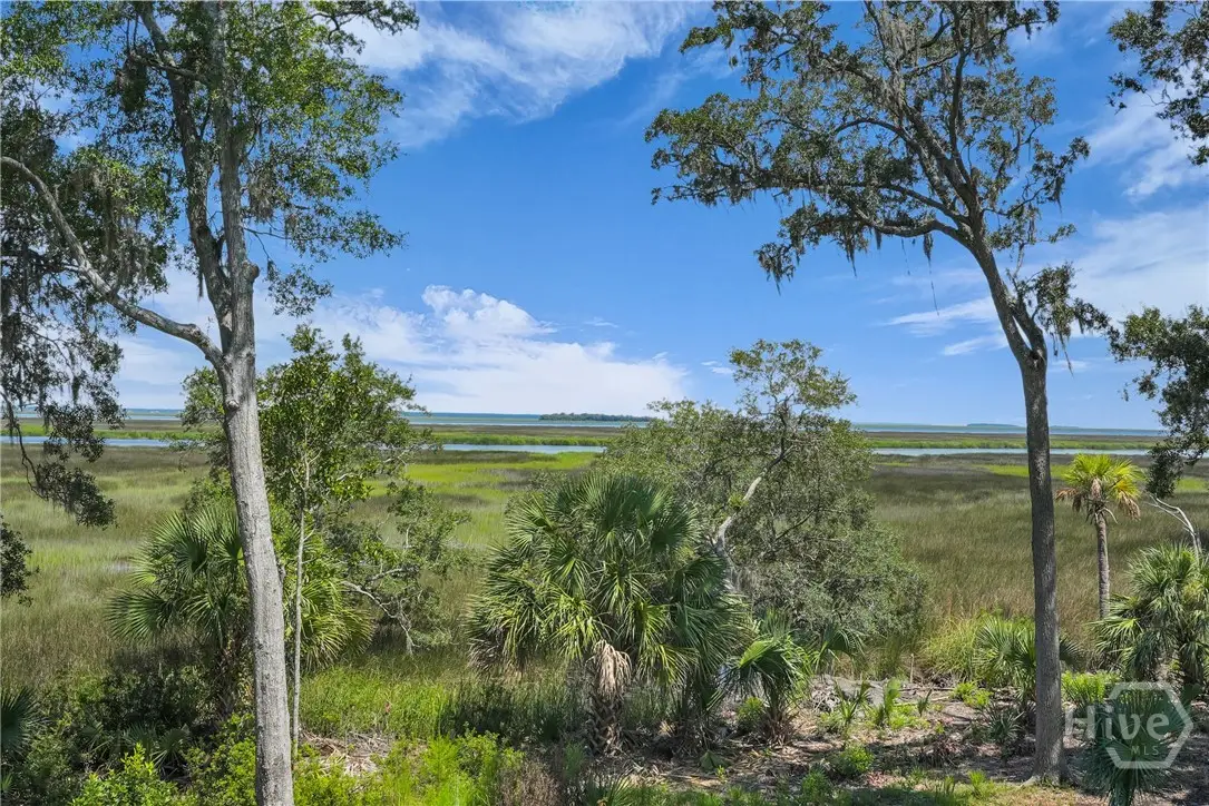 97 Cubbage Island Drive, Richmond Hill, GA 31324 - #1