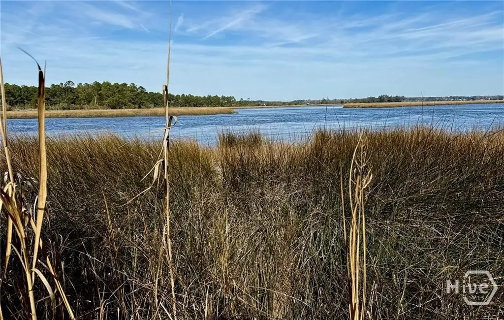 Lot 58 Jerico Marsh Road, Midway, GA 31320 - #1