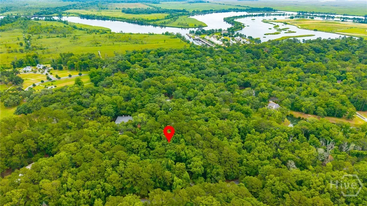 1300 Silk Hope Drive, Richmond Hill, GA 31324 - #1