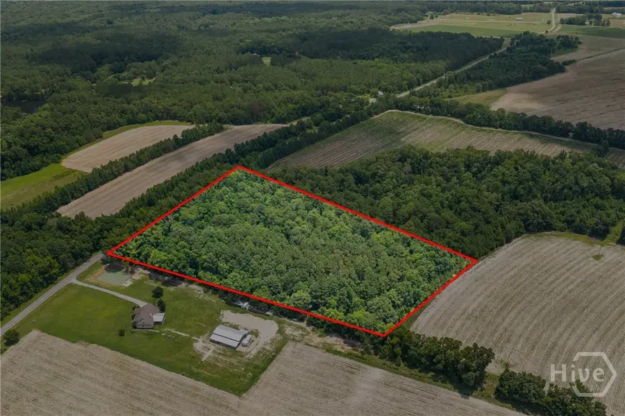 0 Old River Rd, Garfield, GA 30425 - #2