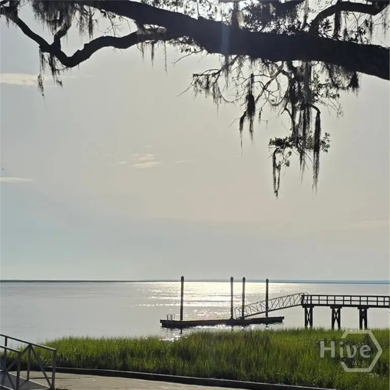 Lot 124 Sapelo Circle, Townsend, GA 31331 - #1