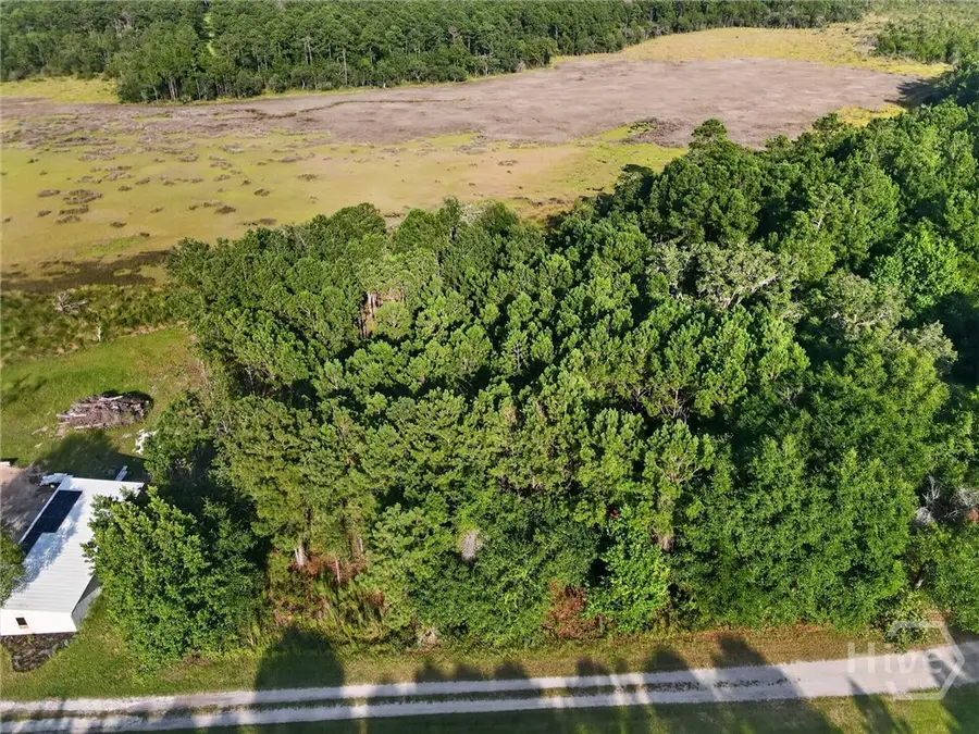 Lot #23 Barnstorm Road Ne, Townsend, GA 31331 - #2